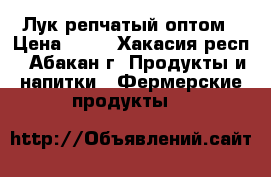 Лук репчатый оптом › Цена ­ 16 - Хакасия респ., Абакан г. Продукты и напитки » Фермерские продукты   